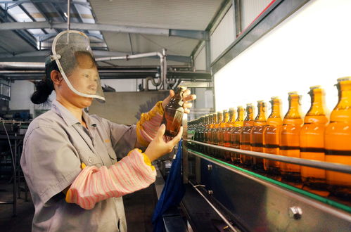 福建武夷興華實業忙生產