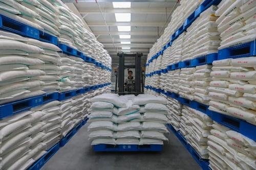 一帶一路 倡議五周年 阿拉山口這家企業搶抓機遇,將走向糧油產業國際化