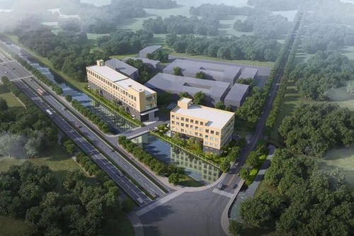 今天,金山又添一例 交地即交證 項目