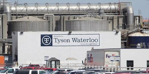 美國食品工廠40 員工確診