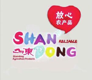 新聞中心山東渤海實業股份