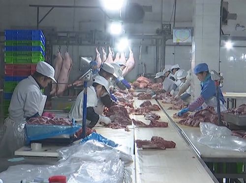 春風(fēng)送崗 助力就業(yè)