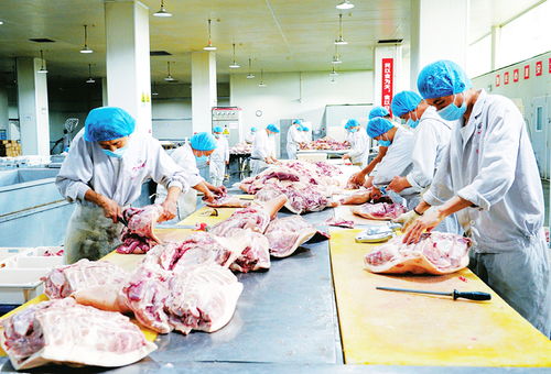 冷鏈?zhǔn)称繁O(jiān)管不放松