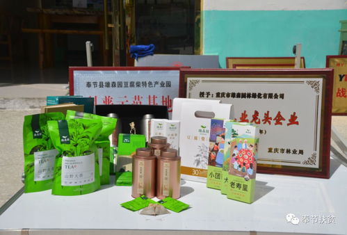 專報 奉節林業 生態扶貧與產業扶持 并駕齊驅