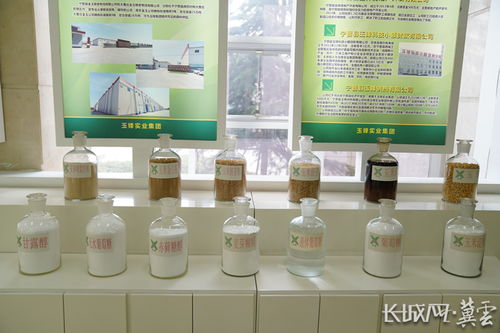 邢臺(tái) 全力打造全省食品加工產(chǎn)業(yè)隆起帶