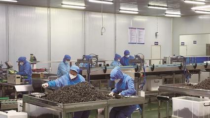 延邊州 點燃“專精特新”強引擎 筑牢實體經濟壓艙石