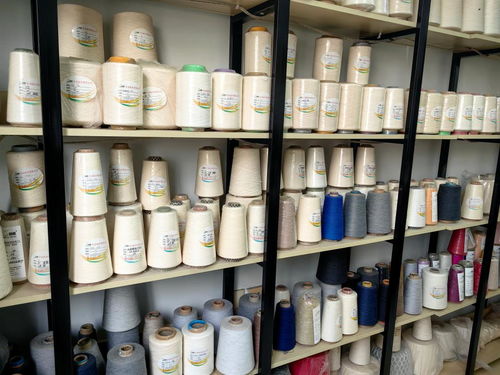 山東夏津政企同心激發紡織產業新活力一線見聞