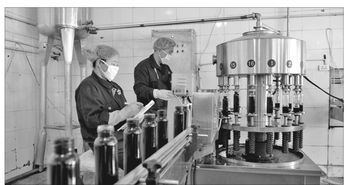 伊春森林食品產業 以綠色優質為導向，賦能實業發展